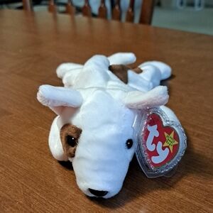 TY Butch 1998 Beanie Baby Dog Plush/ BUNDLE ONY